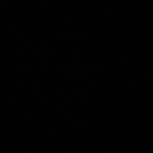 Meet your Posher, Tamarah